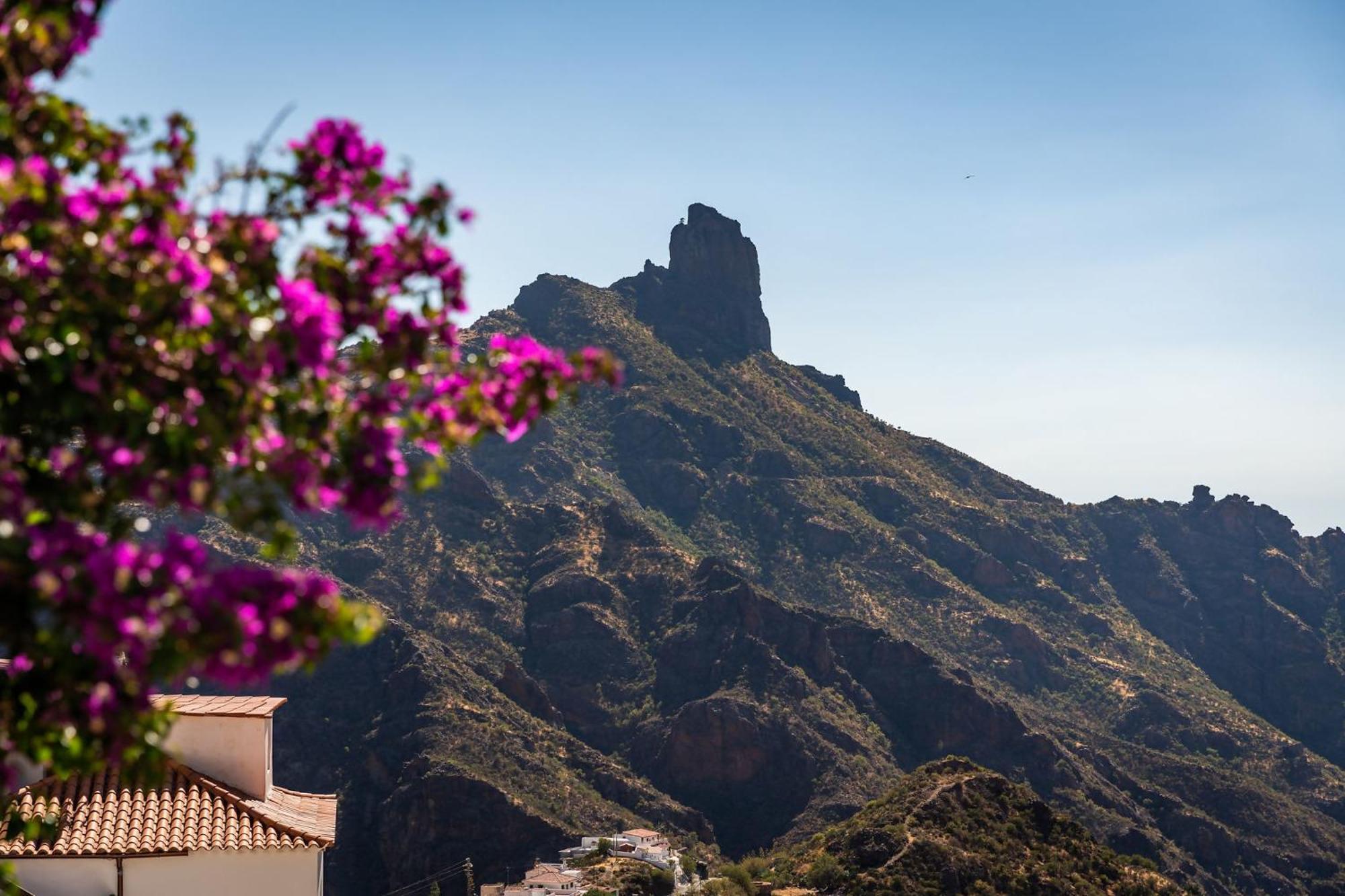 Macaronesia Lpa Suites Las Palmas de Gran Canaria Eksteriør bilde